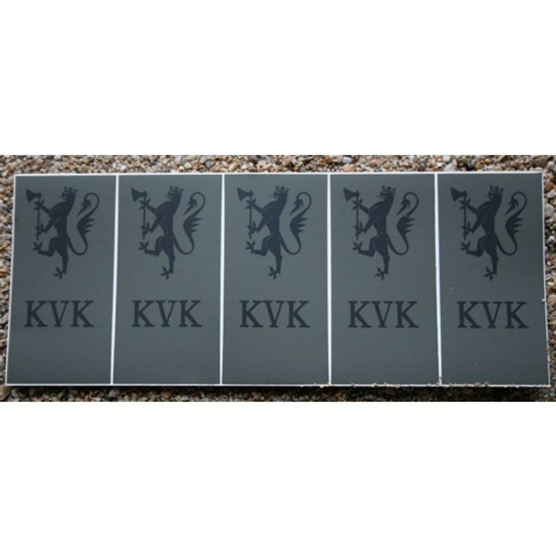 ELEVMERKE KVALFISERINGSKURS KS/ Vinyl